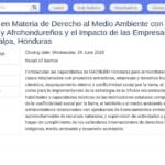 Consultor·e Technique Droits Humains, Environnement et Peuples Autochtones