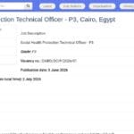 Responsable technique protection sociale santé – P3, Le Caire