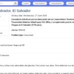 Consultant(e) Technique – Élimination VIH, Syphilis, Hépatite B et Chagas