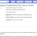 Team Leader – Support Programmes (P4), Vienne, Autriche