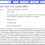 Stagiaire en Affaires Économiques – Nations Unies (Télétravail)