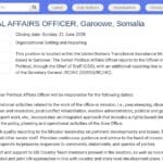Responsable Principal des Affaires Politiques – ONU, Garoowe