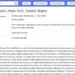 Stagiaire en affaires économiques – Nations Unies