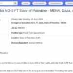 Spécialiste des urgences NO-3 – Gaza, Territoires palestiniens occupés