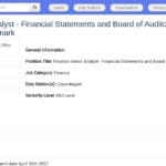 Analyste Financier Principal – États Financiers et Relations avec le Comité des Commissaires aux Comptes