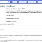 Consultor Senior DHIS2 – Santé & Nutrition – UNICEF Honduras