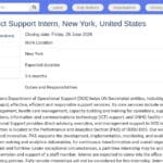 Stagiaire en soutien stratégique et de projet – ONU