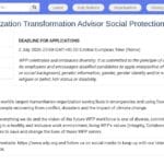 Conseiller en Digitalisation des Systèmes de Protection Sociale