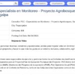 Consultor PEC – Spécialiste Suivi & Évaluation – Projet Agrobosques