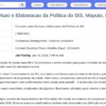 Consultant en Politique SIS – Mozambique