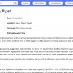 Coordinateur de Projet – Autonomisation Économique Égypte