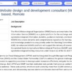 Consultant·e en conception et développement web (WAMIS, APFM, IDMP)