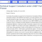 Lead Consultant – Support technique Partenariat ONU Environnement
