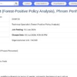 Spécialiste Technique – Analyse des Politiques Forestières Positives