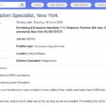Spécialiste MERL – Génération Unlimited (P-4)