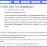 Responsable Finance et Budget – Nations Unies