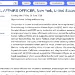 Responsable principal des affaires politiques (EOSG)