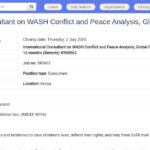 Consultant International en Analyse Conflit-Paix WASH
