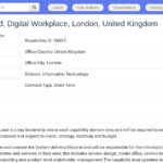 Associate Director, Digital Workplace Capability Lead