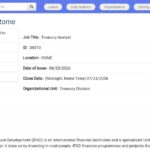 Treasury Analyst Cash Management – Rome