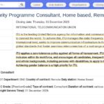 Consultant·e en Programme Cybersécurité – Home Based