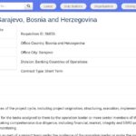 Analyste Bancaire – Sarajevo (Bosnie-Herzégovine)