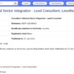 Consultant Principal – Intégration du Secteur Informel,