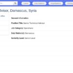 Conseiller technique senior – Action antimines, Damas