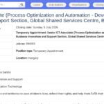 Senior ICT Associate – Automation & Process Optimization