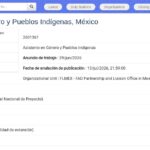 Assistant·e Genre et Peuples Autochtones – Mexique