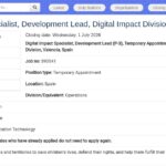 Lead Développeur·euse Impact Numérique – UNICEF