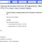 Assistant spécial du directeur exécutif adjoint (Programme)