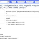 Spécialiste de Programme – Spotlight Initiative Afrique