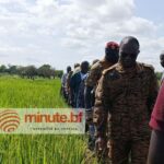Burkina Faso : production agricole de saison sèche en hausse de 14 %