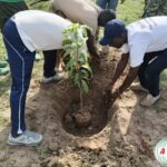 Soudougui : la Journée nationale de l’arbre débute