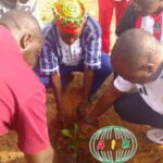 Kindi : plantation d&rsquo;arbres à la Maison de la femme