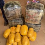Koutiala : saisie de 101 630 comprimés et 10,5 kg de cannabis