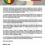 Frappes maliennes contre des groupes armés terroristes