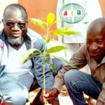 Séguénéga : plantation d&rsquo;arbres dans l&rsquo;enceinte du Trésor public
