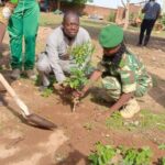 Boulgou : plantation d&rsquo;arbres à Niaogho pour reverdir le Faso