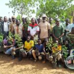 Loroum : 1781 plants mis en terre pour la Journée de l’arbre 2026