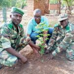 N’Dorola plante des arbres pour la Journée nationale de l’arbre