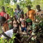 Kénédougou : 1 000 plants mis en terre à Samogohiri