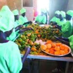 Burkina Faso premier producteur mondial de mangues séchées bio