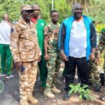 Guiriko : chaque citoyen invité à planter un arbre