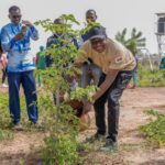 Burkina Faso : 15 millions d&rsquo;arbres plantés en 2026