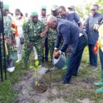 Togo : 39 millions d&rsquo;arbres plantés en quatre ans