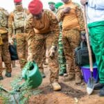 Burkina Faso : 5 millions d&rsquo;arbres plantés le 20 juin 2026