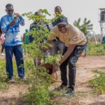 Burkina Faso lance une campagne de 15 millions d&rsquo;arbres