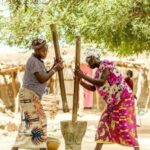 L&rsquo;Afrique exporte pour 1 milliard $ d&rsquo;ingrédients cosmétiques